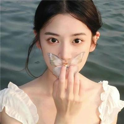 飞翔闪耀